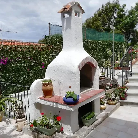 Bouganville Magomadas