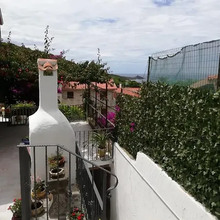 Bouganville